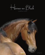Cover zu "Horses on Black - Sabrina Hain"