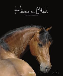 Cover zu Horses on Black - Sabrina Hain