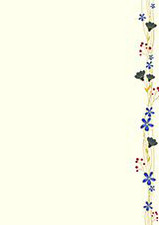 Cover zu PC-Glückwunschbrief, naturweiß, zarte Blütenranke.