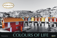 Cover zu "Colours of Life"